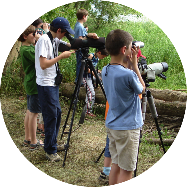 Loiret Nature Environnement (LNE) est une association d’étude, de sensibilisation et de protection de la nature et de l’environnement.